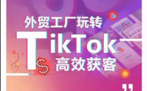 外贸工厂玩转TikTok高效获客，多种引流方式与账号定位技巧，拆解爆款短视频打造成功案例-无痕资源库