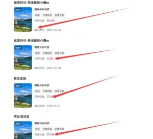 磁力聚星游戏副业陪跑训练营1.0，长期稳定项目，有人一周干了1K+-无痕资源库