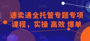 速卖通全托管专题专项课程，实操 高效 爆单-无痕资源库