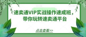 速卖通VIP实战操作速成班,带你玩转速卖通平台-无痕资源库