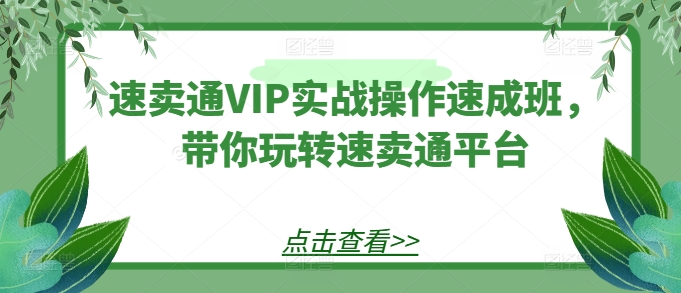 速卖通VIP实战操作速成班,带你玩转速卖通平台-无痕资源库