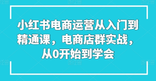 小红书电商运营从入门到精通课，电商店群实战，从0开始到学会-无痕资源库
