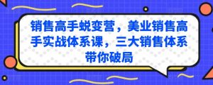 销售高手蜕变营，美业销售高手实战体系课，三大销售体系带你破局-无痕资源库