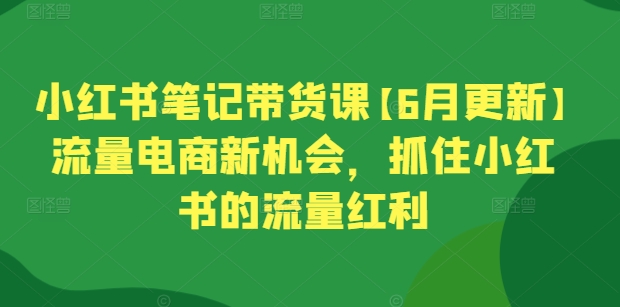 小红书笔记带货课【6月更新】流量电商新机会，抓住小红书的流量红利-无痕资源库