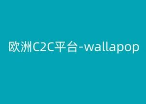 欧洲C2C平台-wallapop-kim跨境电商教程-无痕资源库