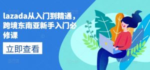 lazada从入门到精通，跨境东南亚新手入门必修课-无痕资源库