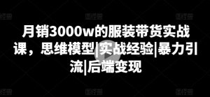 月销3000w的服装带货实战课，思维模型|实战经验|暴力引流|后端变现-无痕资源库