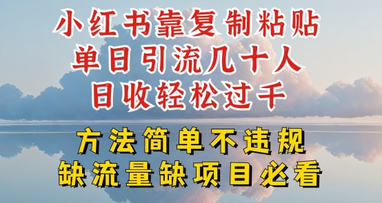 小红书靠复制粘贴单日引流几十人目收轻松过千，方法简单不违规【揭秘】-无痕资源库