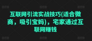 互联网引流实战技巧(适合微商，吸引宝妈)，宅家通过互联网赚钱-无痕资源库