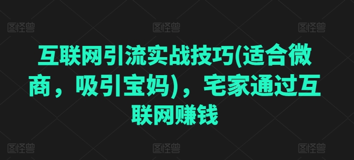 互联网引流实战技巧(适合微商，吸引宝妈)，宅家通过互联网赚钱-无痕资源库