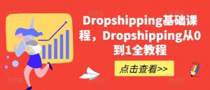 Dropshipping基础课程，Dropshipping从0到1全教程-无痕资源库