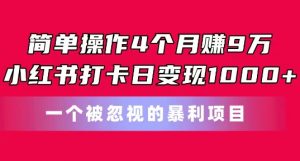 简单操作4个月赚9w,小红书打卡日变现1k,一个被忽视的暴力项目【揭秘】-无痕资源库
