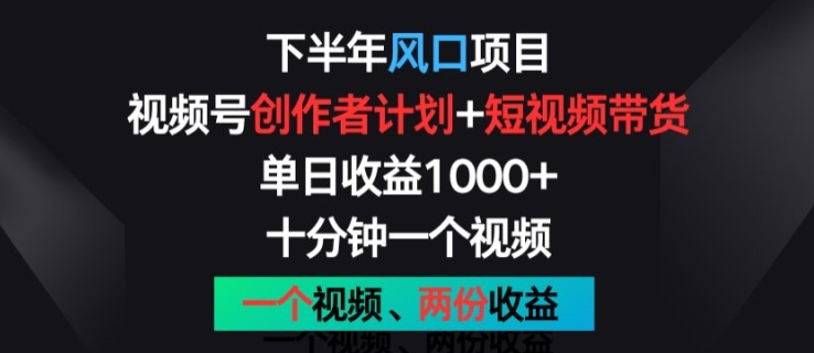 下半年风口项目，视频号创作者计划+视频带货，一个视频两份收益，十分钟一个视频【揭秘】-无痕资源库