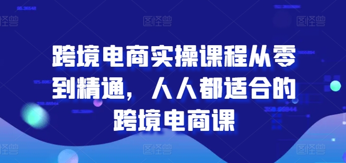 跨境电商实操课程从零到精通,人人都适合的跨境电商课-无痕资源库