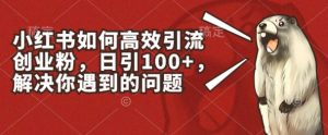 小红书如何高效引流创业粉，日引100+，解决你遇到的问题【揭秘】-无痕资源库