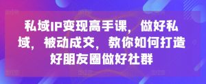 私域IP变现高手课，做好私域，被动成交，教你如何打造好朋友圈做好社群-无痕资源库