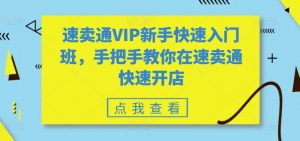 速卖通VIP新手快速入门班，手把手教你在速卖通快速开店-无痕资源库