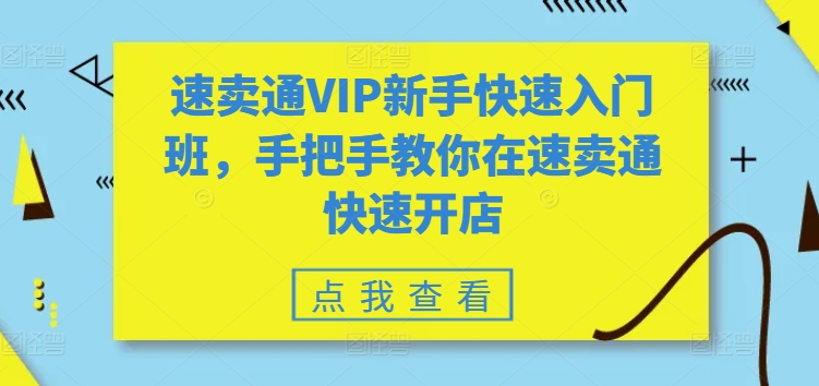 速卖通VIP新手快速入门班，手把手教你在速卖通快速开店-无痕资源库