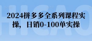 2024拼多多全系列课程实操，日销0-100单实操【必看】-无痕资源库