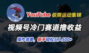 视频号冷门赛道撸收益，YouTube搬运极限运动集锦，暴力起号，操作简单流量高，轻松日入5张【揭秘】-无痕资源库
