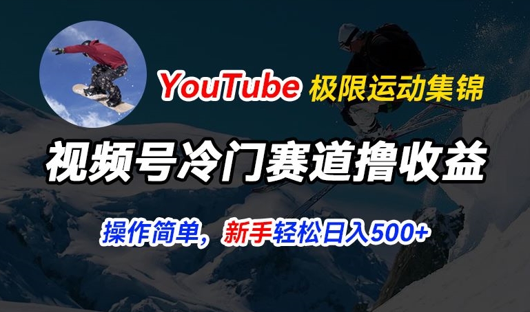视频号冷门赛道撸收益，YouTube搬运极限运动集锦，暴力起号，操作简单流量高，轻松日入5张【揭秘】-无痕资源库
