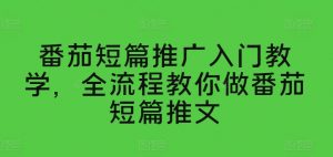 番茄短篇推广入门教学，全流程教你做番茄短篇推文-无痕资源库