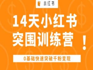 14天小红书突围训练营 ，0基础快速突破千粉变现-无痕资源库