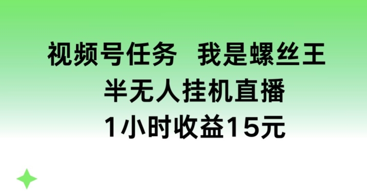 视频号任务，我是螺丝王， 半无人挂机1小时收益15元【揭秘】-无痕资源库