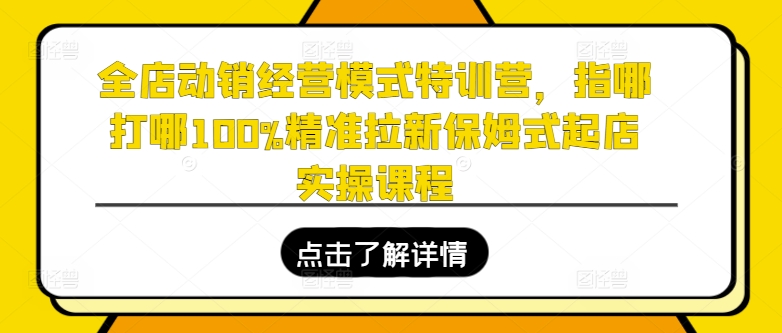 全店动销经营模式特训营，指哪打哪100%精准拉新保姆式起店实操课程-无痕资源库