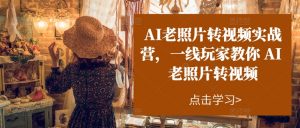 AI老照片转视频实战营，一线玩家教你AI老照片转视频-无痕资源库