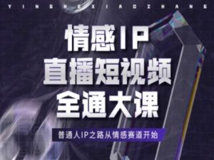 情感IP直播短视频全通大课，普通人IP之路从情感赛道开始-无痕资源库
