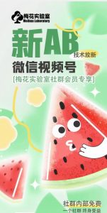 梅花实验室2024年AB技术视频号AB合成破解版-无痕资源库
