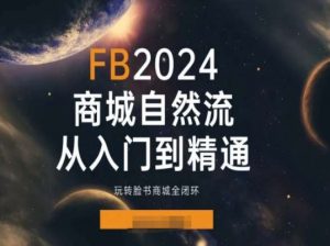 2024Faceboo商城自然流(从入门到精通),玩转脸书商城全闭环-无痕资源库