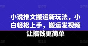 小说推文搬运新玩法，小白轻松上手，搬运发视频让搞钱更简单-无痕资源库