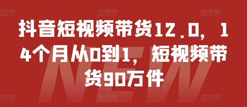 抖音短视频带货12.0，14个月从0到1，短视频带货90万件-无痕资源库