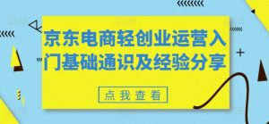 京东电商轻创业运营入门基础通识及经验分享-无痕资源库