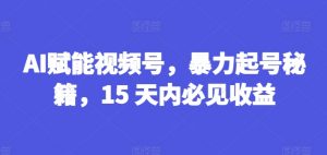 AI赋能视频号，暴力起号秘籍，15 天内必见收益【揭秘】-无痕资源库