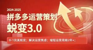2024-2025拼多多运营策略蜕变3.0，0~1完美蜕变，解决信息焦虑-无痕资源库