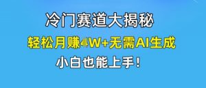 冷门赛道大揭秘，轻松月赚1W+无需AI生成，小白也能上手【揭秘】-无痕资源库