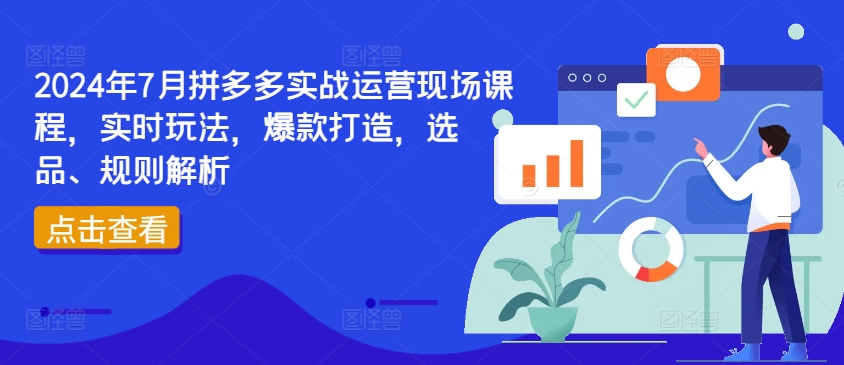 2024年7月拼多多实战运营现场课程，实时玩法，爆款打造，选品、规则解析-无痕资源库