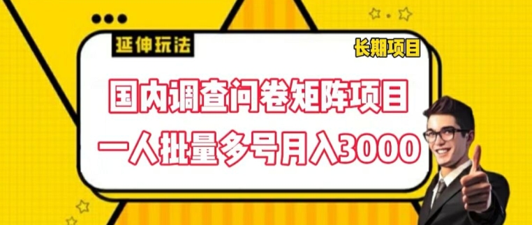 国内调查问卷矩阵项目，一人批量多号月入3000【揭秘】-无痕资源库