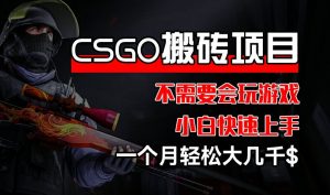 CSGO 装备搬砖项目，操作简单，不需要会玩游戏，小白也能快速上手，一个月轻松大几千【揭秘】-无痕资源库