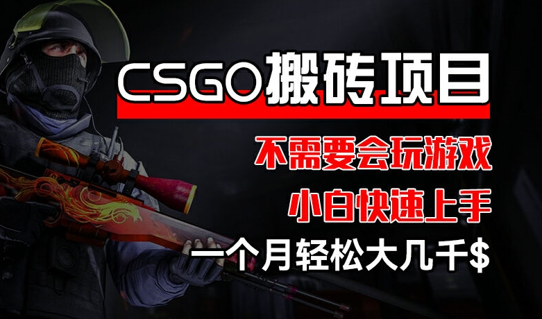 CSGO 装备搬砖项目，操作简单，不需要会玩游戏，小白也能快速上手，一个月轻松大几千【揭秘】-无痕资源库