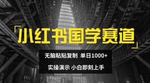 小红书国学赛道，无脑粘贴复制，单日1K，实操演示，小白即刻上手【揭秘】-无痕资源库