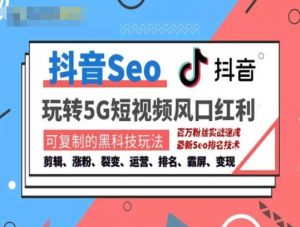 抖音SEO引流培训课程-抓住抖音风口,实现搜索排名,获取精准流量,快速成交变现-无痕资源库