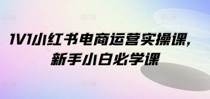 1V1小红书电商运营实操课，新手小白必学课-无痕资源库