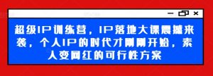 超级IP训练营，IP落地大课震撼来袭，个人IP的时代才刚刚开始，素人变网红的可行性方案-无痕资源库