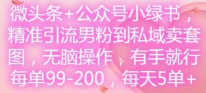 微头条+公众号小绿书,精准引流男粉到私域卖套图,无脑操作,有手就行,每单99-200,每天5单-无痕资源库