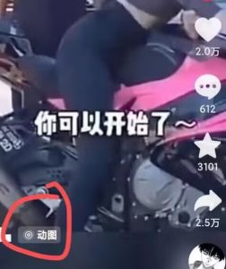 2024年7月苹果手机动图搬运技术-无痕资源库