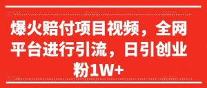 爆火赔付项目视频，全网平台进行引流，日引创业粉1W+【揭秘】-无痕资源库